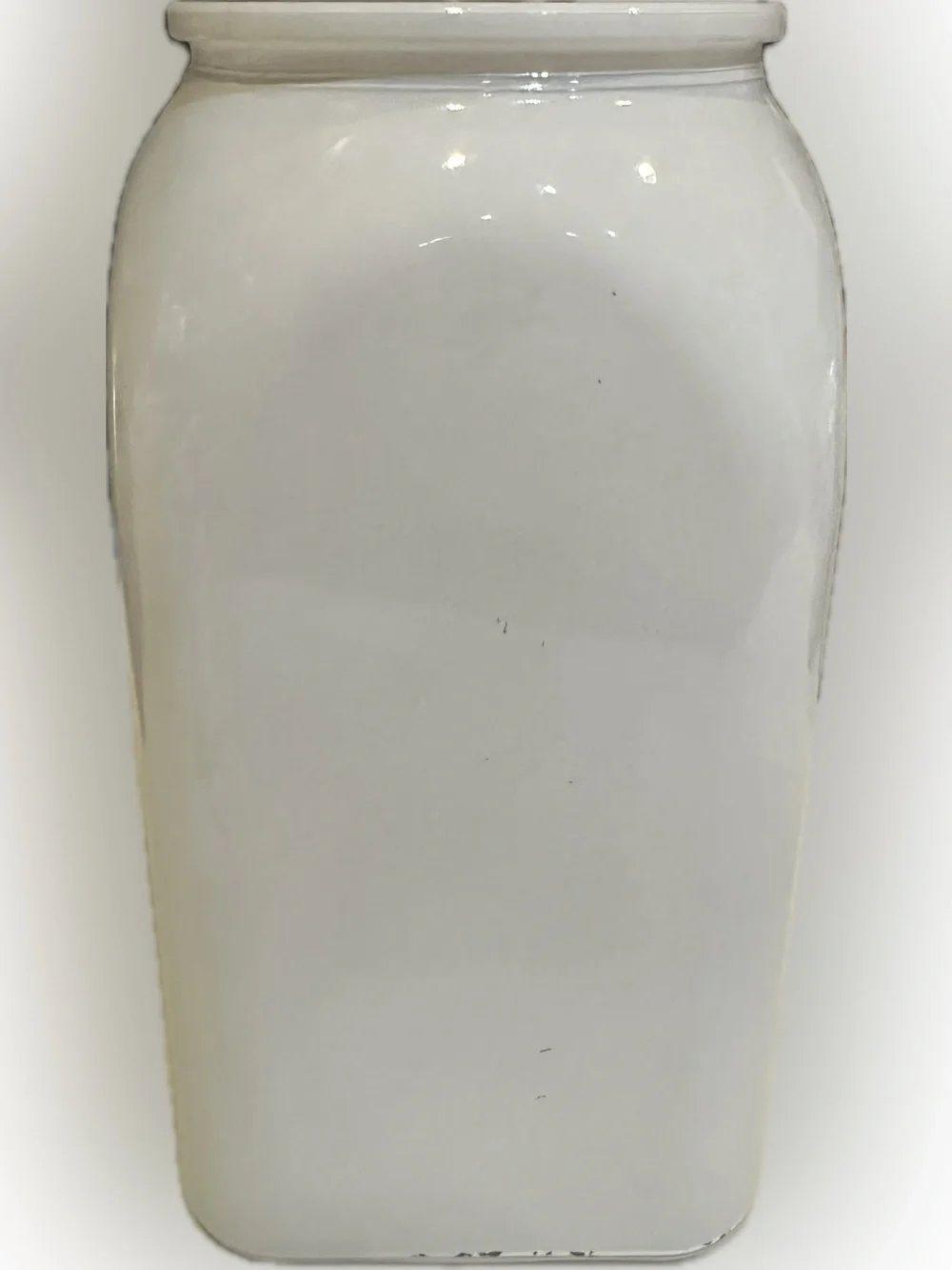 FARMHOUSE PAINTED GLASS VASE CONTAINER BLUEBONNET BOTTLE CERAMIC CROC VIB 7.5”